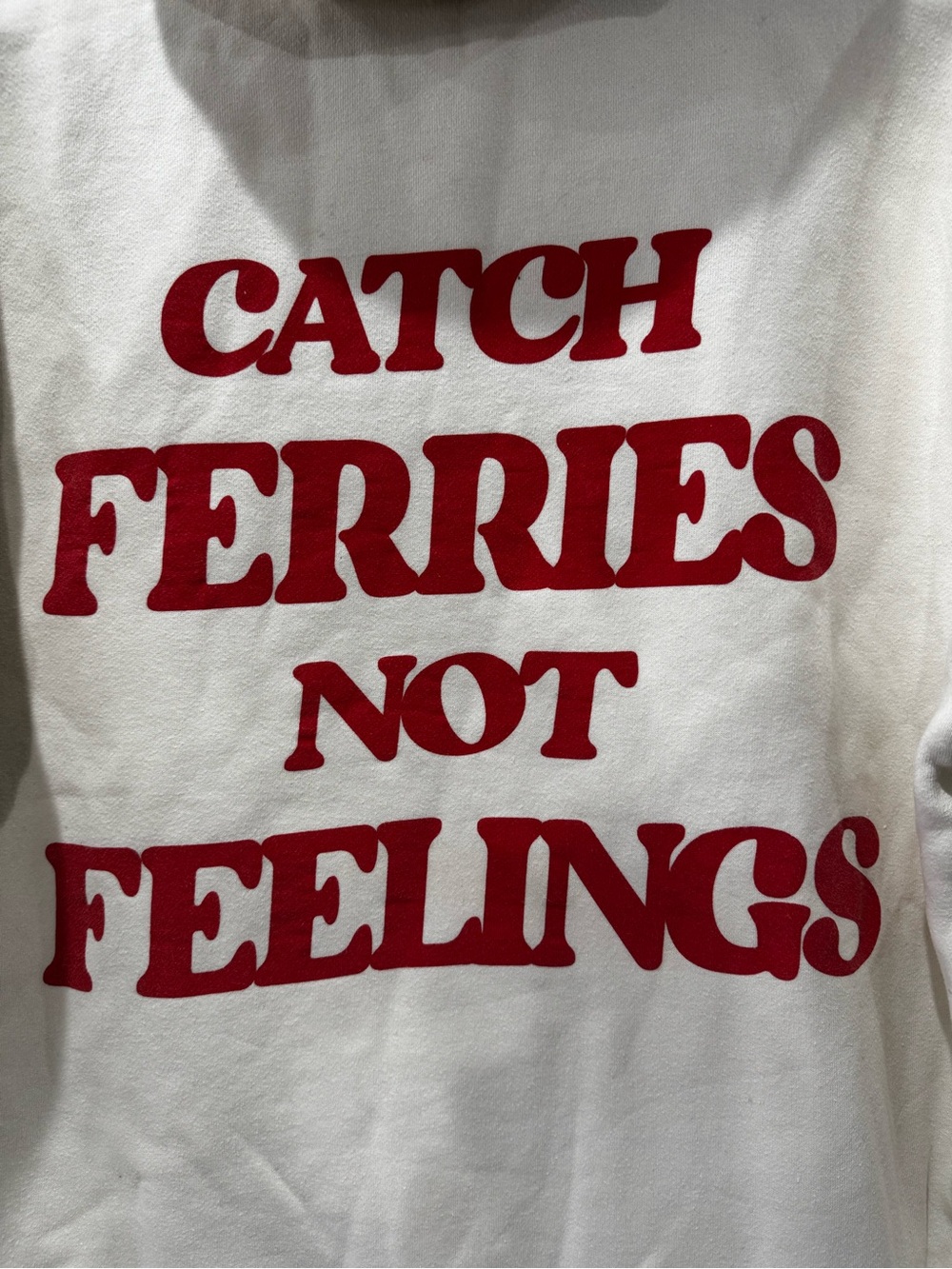 BRODenim Size L Edgartown, MA ‘Catch Ferries Not Feelings’ hoodie New England - Picture 7 of 7